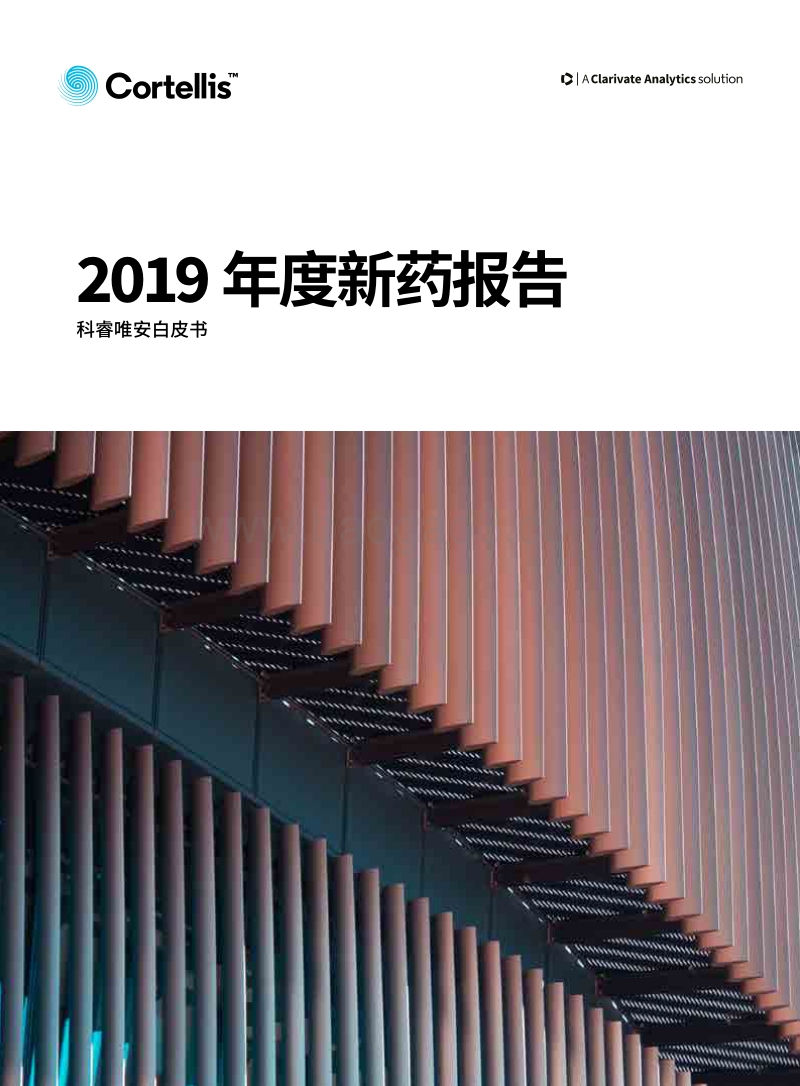 2019年度新药报告.pdf_第1页