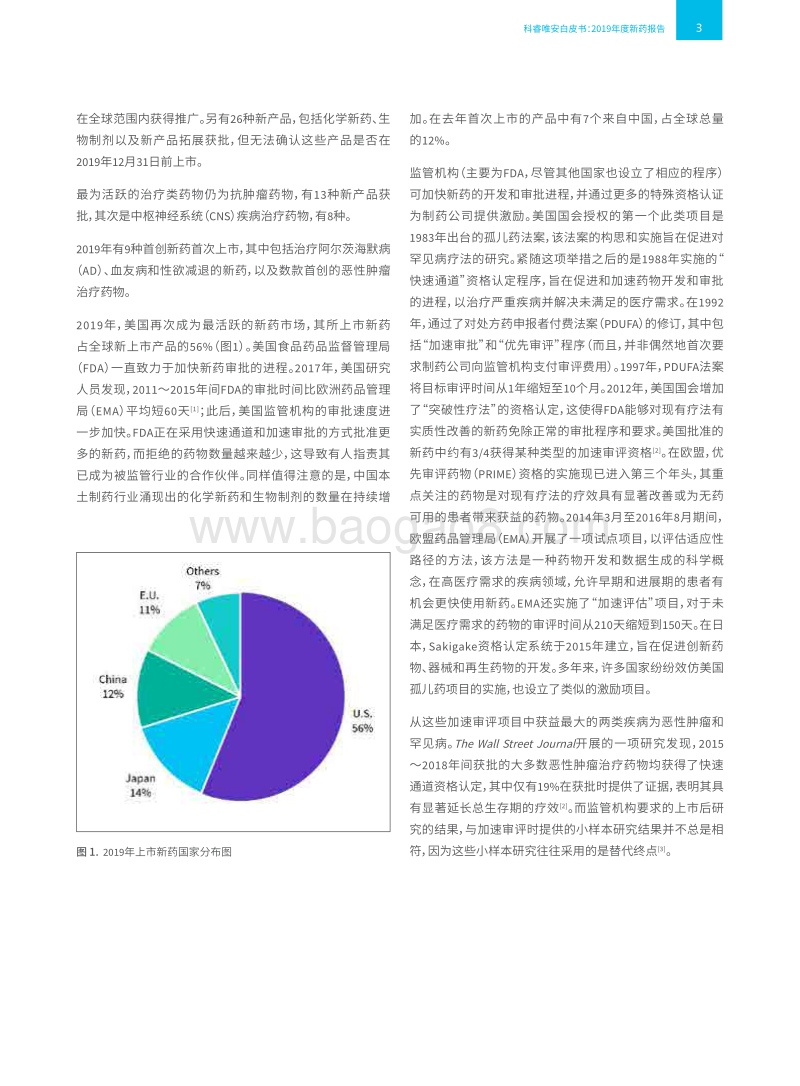2019年度新药报告.pdf_第5页