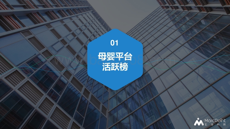 百万母婴群体行为报告（第二期）.pdf_第4页
