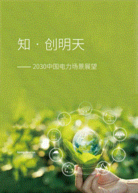 2030中国电力场景展望.pdf
