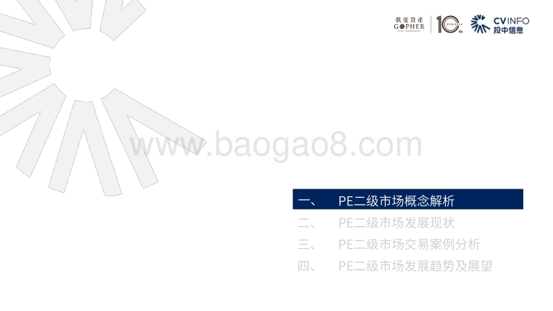 中国PE二级市场2020年发展趋势及展望.pdf_第4页