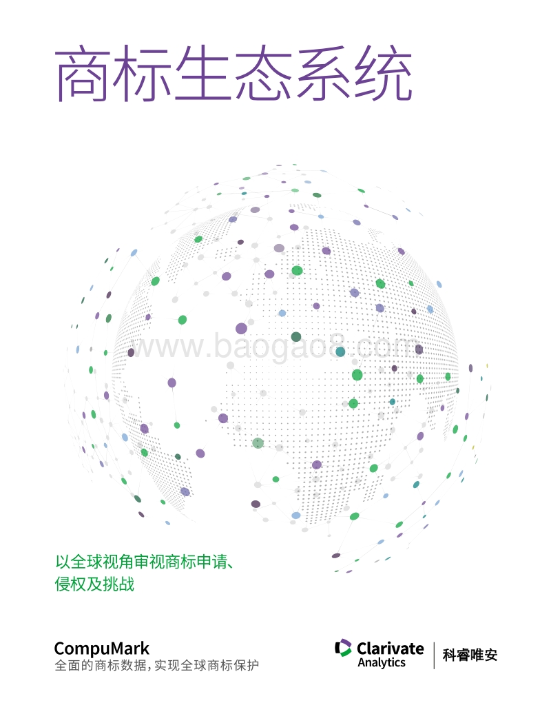商标生态圈：以全球视角审视商标申请、侵权及挑战.PDF_第1页