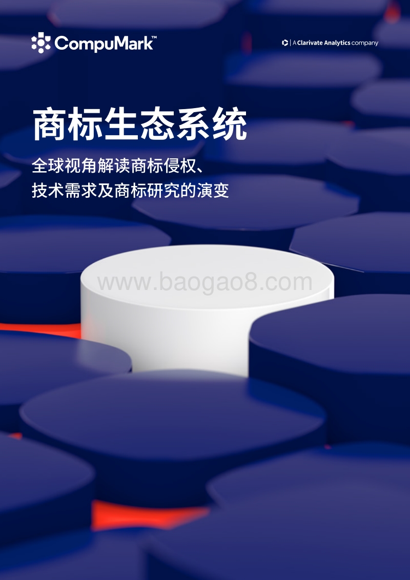 商标生态系统：全球视角解读商标侵权、技术需求及商标研究的演变.pdf_第1页