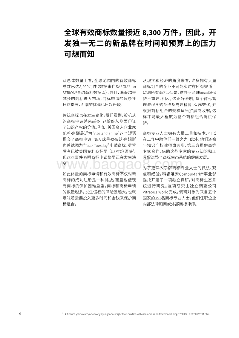 商标生态系统：全球视角解读商标侵权、技术需求及商标研究的演变.pdf_第4页