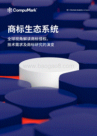 商标生态系统：全球视角解读商标侵权、技术需求及商标研究的演变.pdf