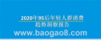 2020年95后年轻人群消费趋势洞察报告.pptx