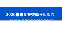 2020未来企业效率分析报告.pptx