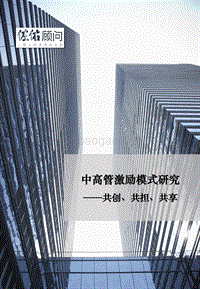 中高管激励模式研究.pdf