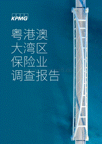 粤港澳大湾区保险业调查报告.pdf