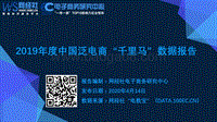 2019年度中国泛电商“千里马”数据报告.pdf