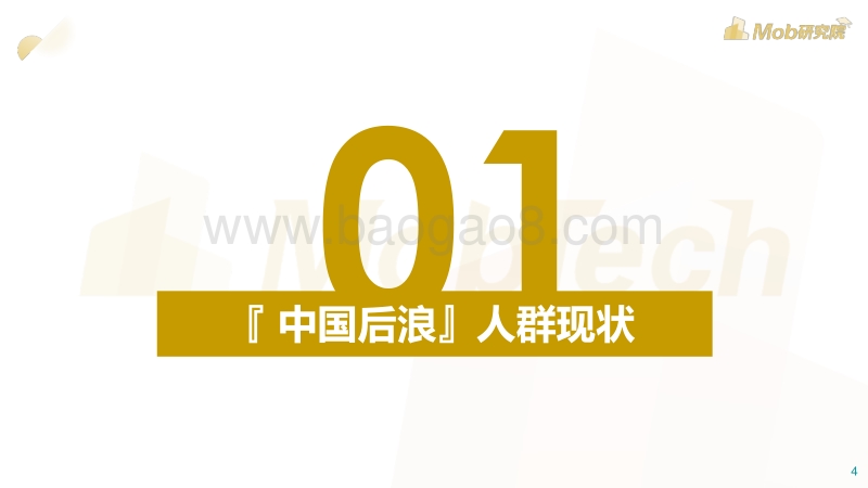 后浪生存图鉴.pdf_第4页