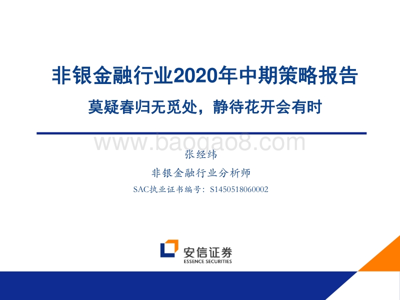非银金融行业2020年中期策略报告：莫疑春归无觅处，静待花开会有时.pdf_第1页