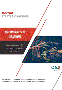 新时代国企改革热点解析.pdf