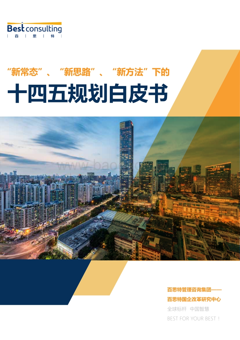 “新常态”、“新思路”、“新方法”下的十四五规划白皮书.pdf_第1页