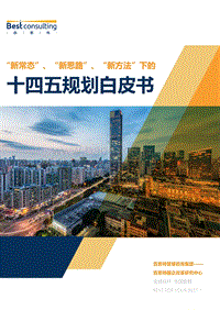 “新常态”、“新思路”、“新方法”下的十四五规划白皮书.pdf