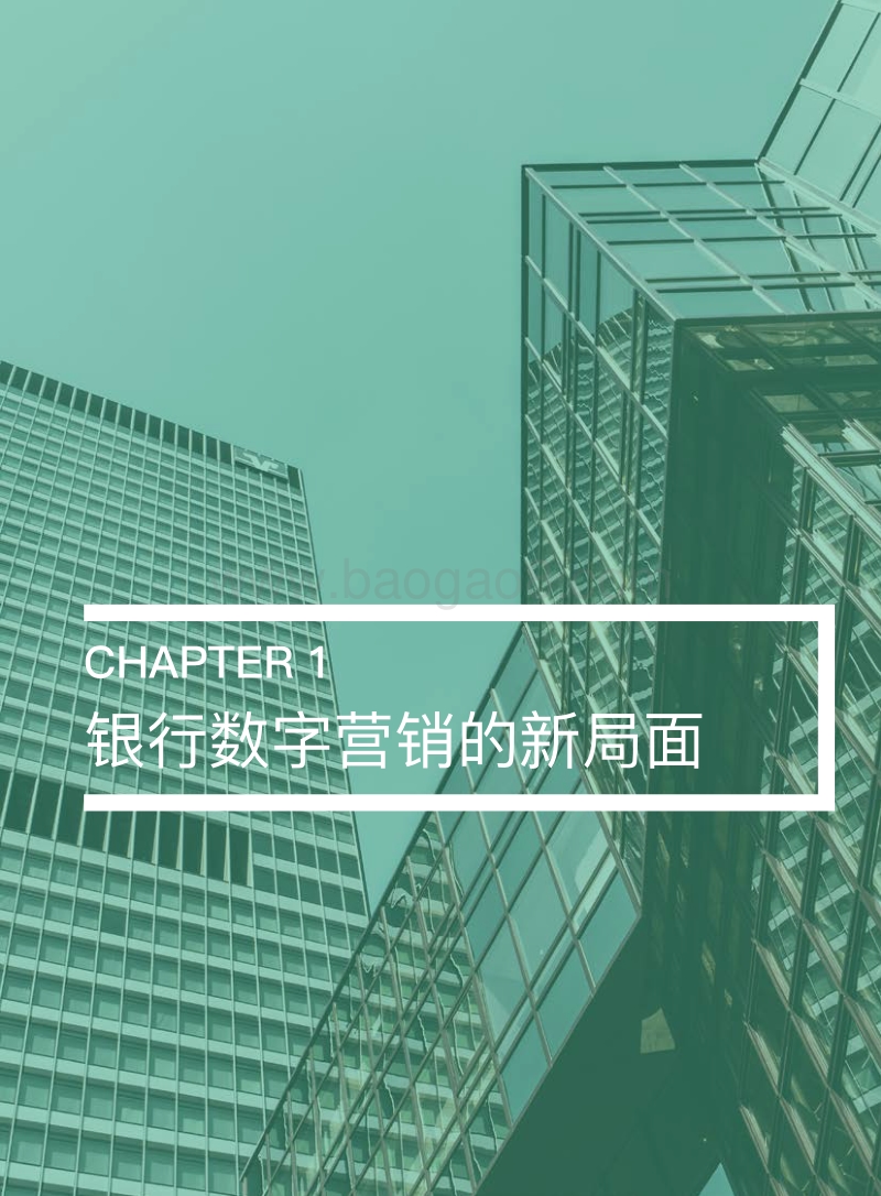 面向2020s：银行数字营销现状洞察.pdf_第4页