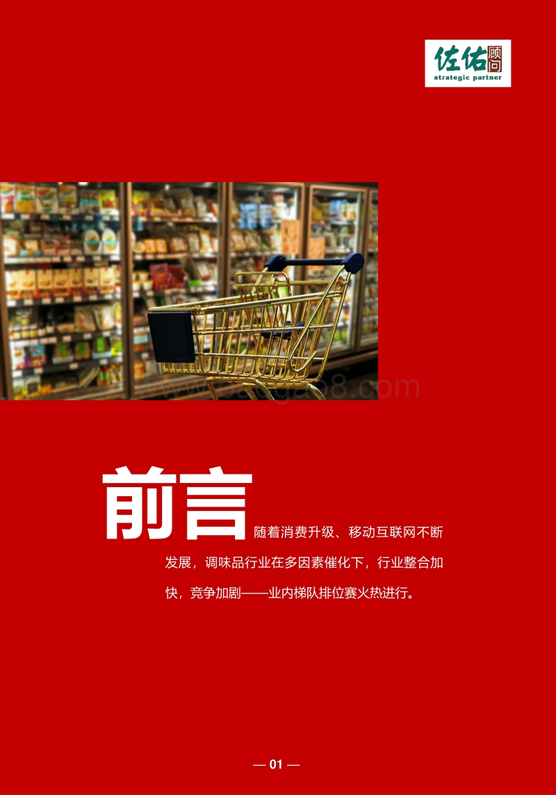 调味品企业经营管理解决方案.pdf_第3页