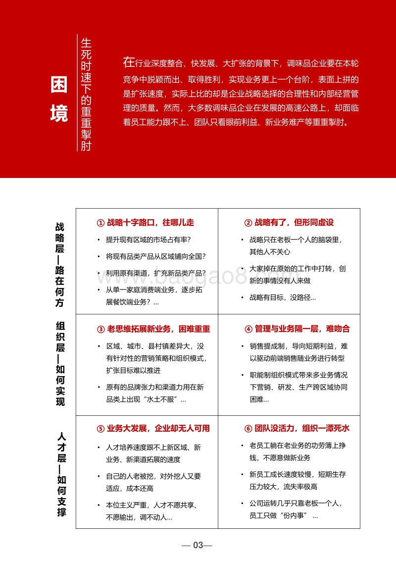 调味品企业经营管理解决方案.pdf_第5页