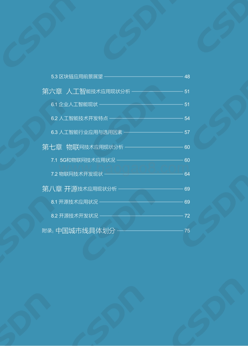 2019-2020中国开发者调查报告.pdf_第4页