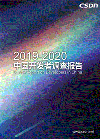 2019-2020中国开发者调查报告.pdf
