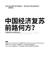 中国经济复苏前路何方？中国经验对世界的启示.pdf