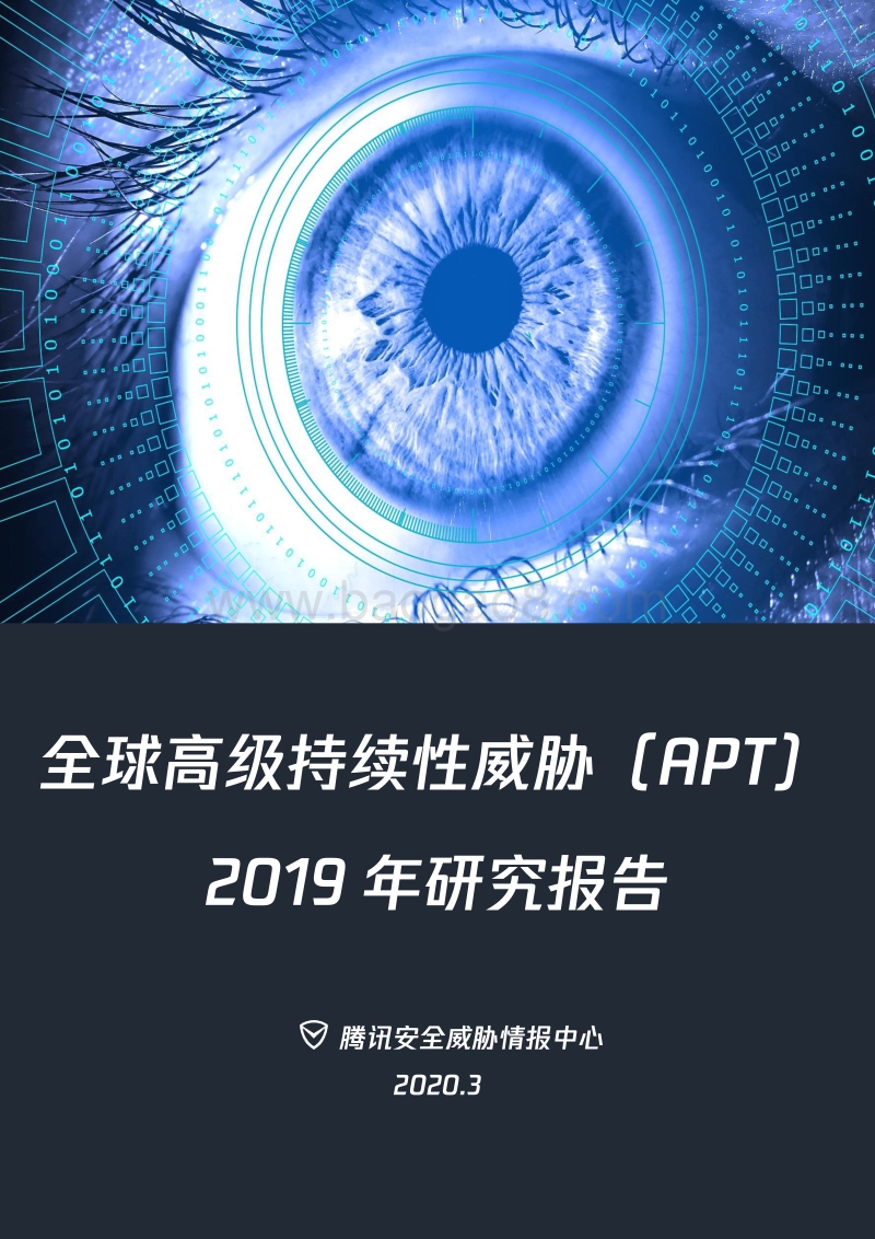 全球高级持续性威胁（APT）2019年研究报告.pdf_第1页