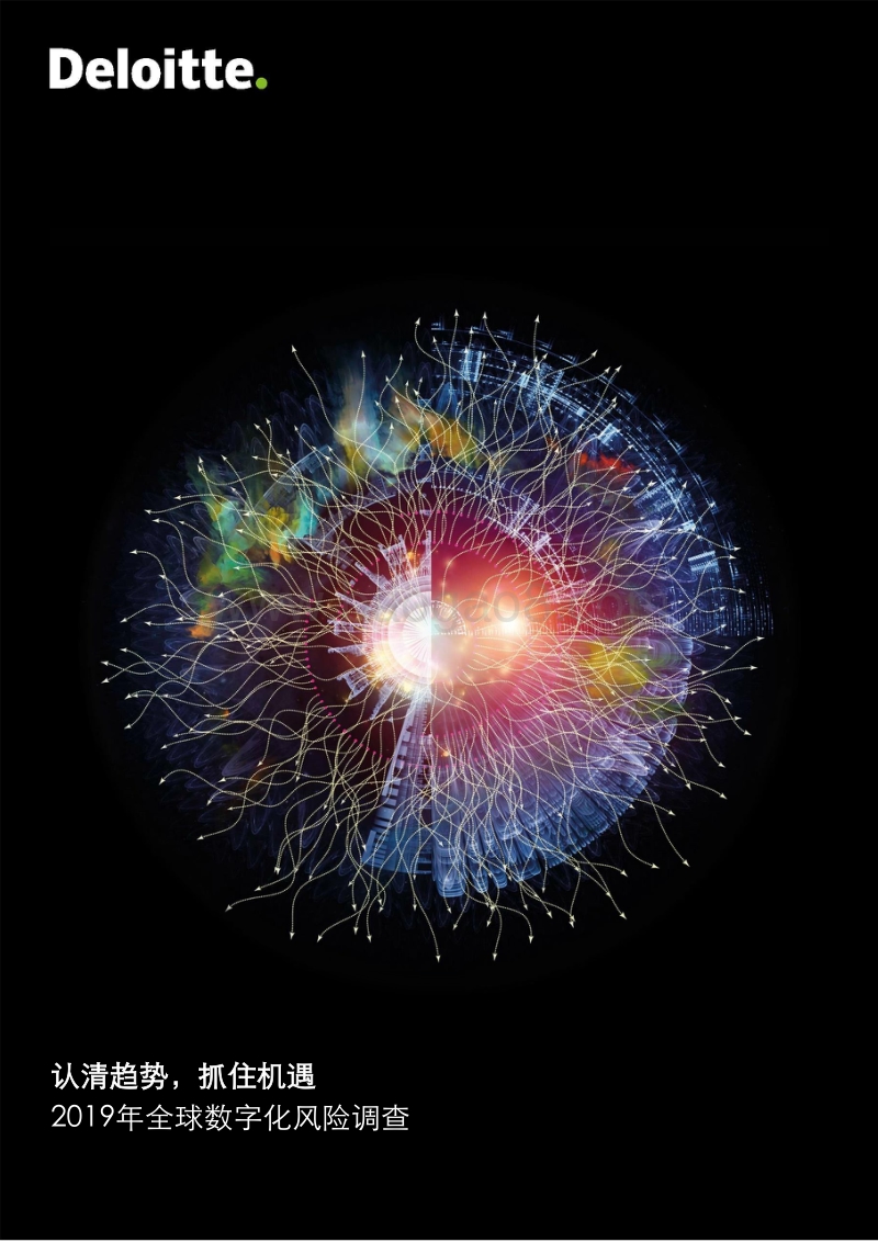 2019年全球数字化风险调查.pdf_第1页