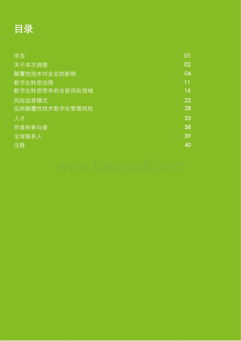2019年全球数字化风险调查.pdf_第2页