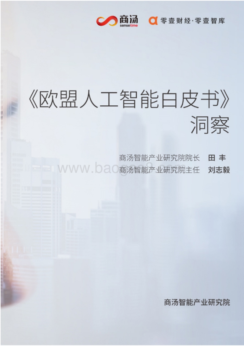 《欧洲人工智能白皮书》洞察.pdf_第1页
