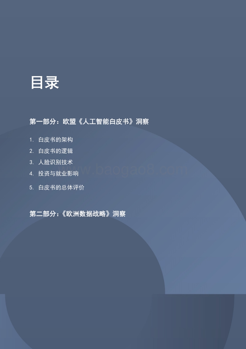 《欧洲人工智能白皮书》洞察.pdf_第4页