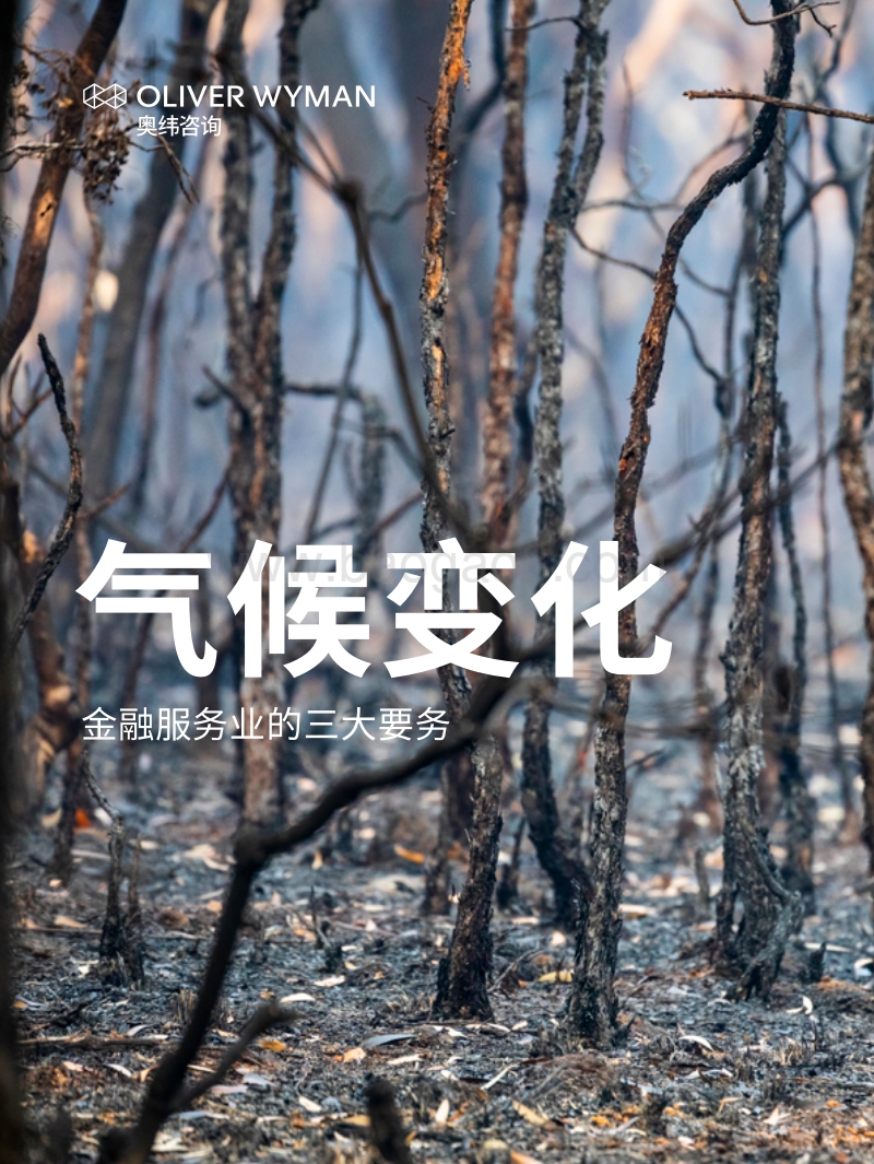 气候变化：金融服务业的三大要务.pdf_第1页