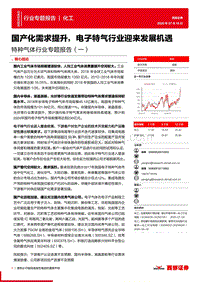 特种气体行业专题报告（一）：国产化需求提升，电子特气行业迎来发展机遇.pdf