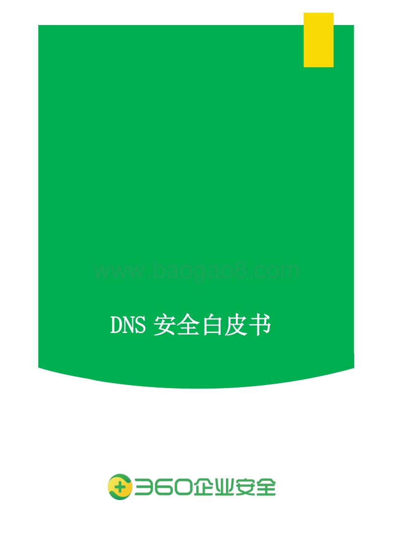 DNS安全白皮书.pdf_第1页