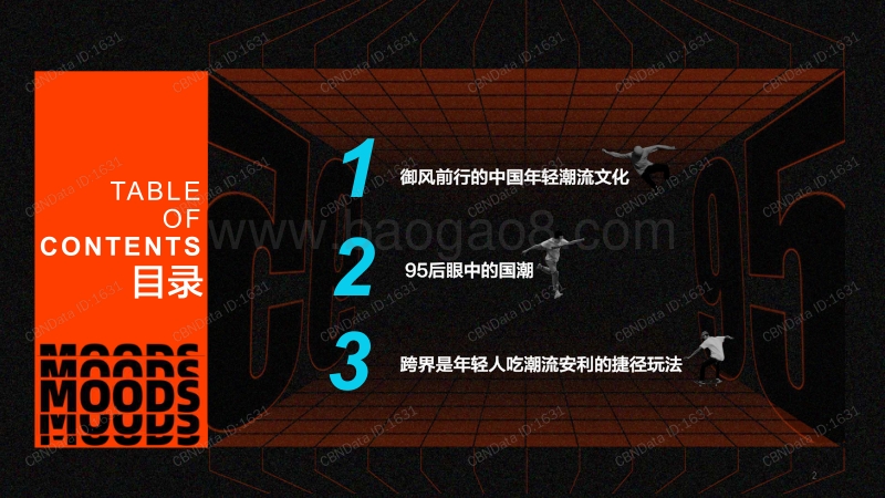 这就是95后的国潮地盘.pdf_第2页
