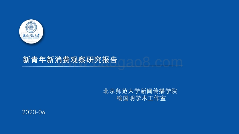 新青年新消费观察研究报告.pdf_第1页