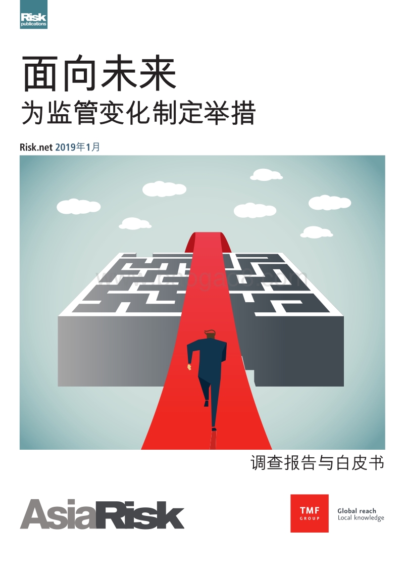 面向未来：为监管变化制定举措.pdf_第1页