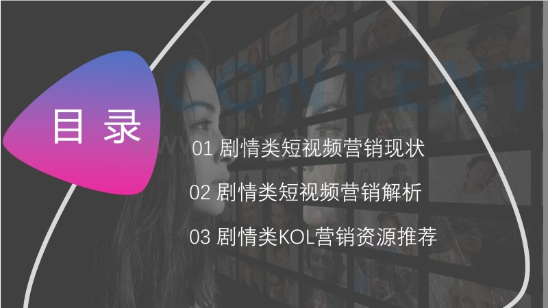 2020剧情类红人营销洞察.pdf_第2页