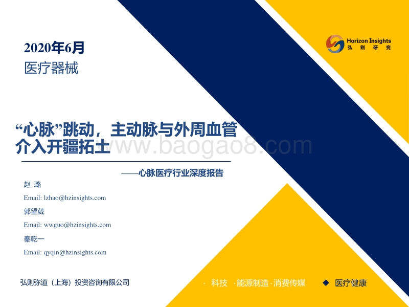 心脉医疗行业深度报告：“心脉”跳动，主动脉与外周血管介入开疆拓土.pdf_第1页