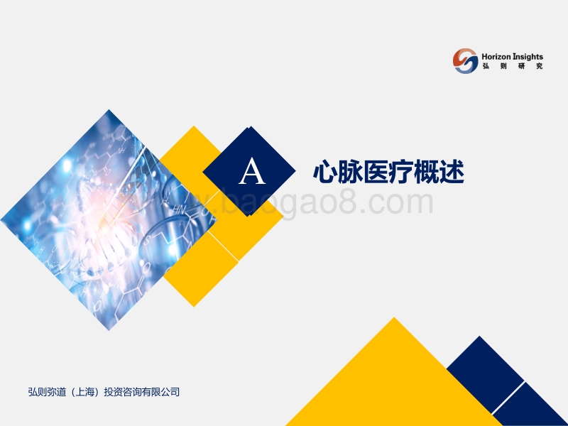 心脉医疗行业深度报告：“心脉”跳动，主动脉与外周血管介入开疆拓土.pdf_第4页