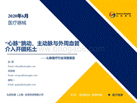 心脉医疗行业深度报告：“心脉”跳动，主动脉与外周血管介入开疆拓土.pdf