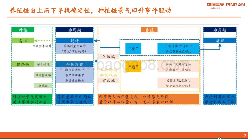 农林牧渔行业2020年中期策略报告：养殖链自上而下寻找确定性，种植链景气回升事件驱动.pdf_第2页