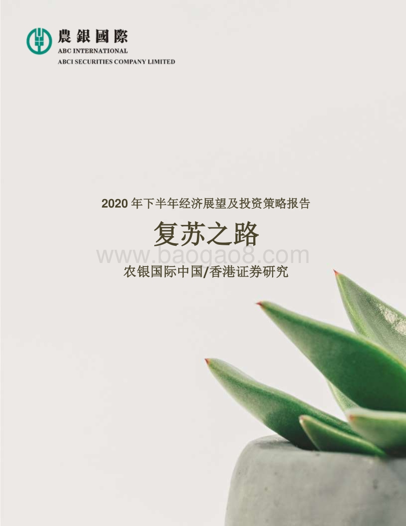2020年下半年经济展望及投资策略报告.pdf_第1页