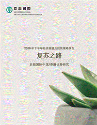 2020年下半年经济展望及投资策略报告.pdf