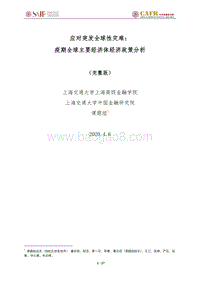 应对突发全球性灾难：疫期全球主要经济体经济政策分析.pdf