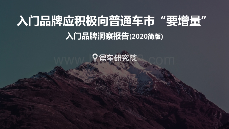 2020入门品牌洞察报告.pdf_第1页