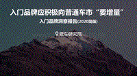 2020入门品牌洞察报告.pdf