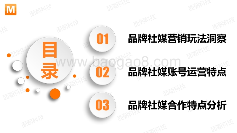 国产彩妆品牌社媒营销案例研究.pdf_第2页
