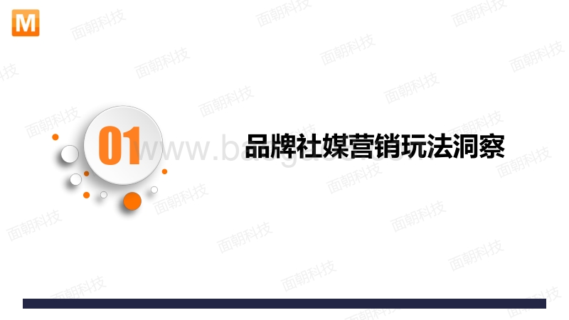 国产彩妆品牌社媒营销案例研究.pdf_第3页