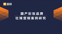 国产彩妆品牌社媒营销案例研究.pdf