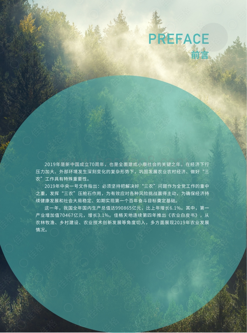 2019农业白皮书.pdf_第2页
